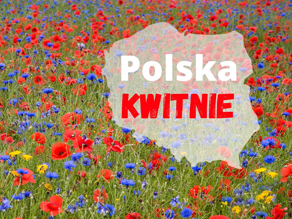 polska kwitnie wydarzenie